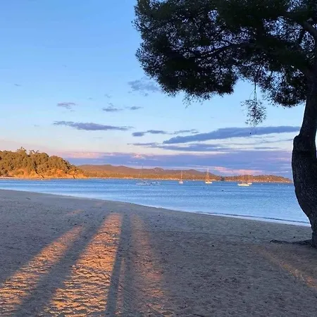 Διαμέρισμα En Bord De La Londe-les-Maures